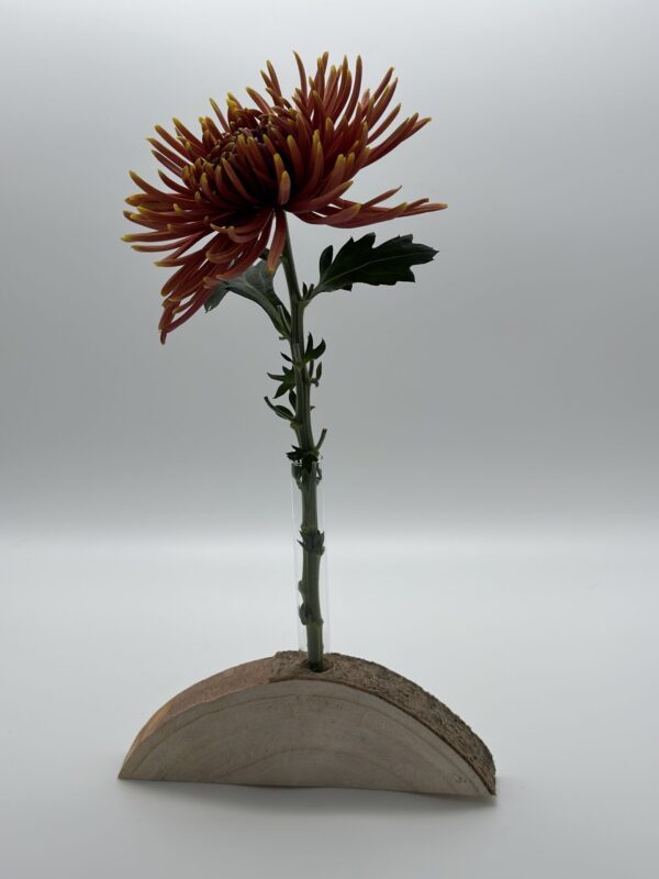 Blumen- & Kartenhalterung, 1 x Glas – Bild 3