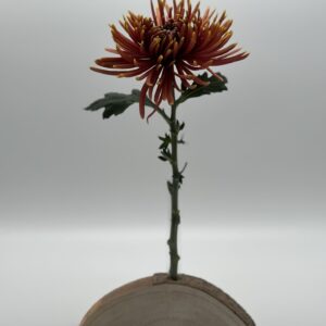 Blumen- & Kartenhalterung, 1 x Glas