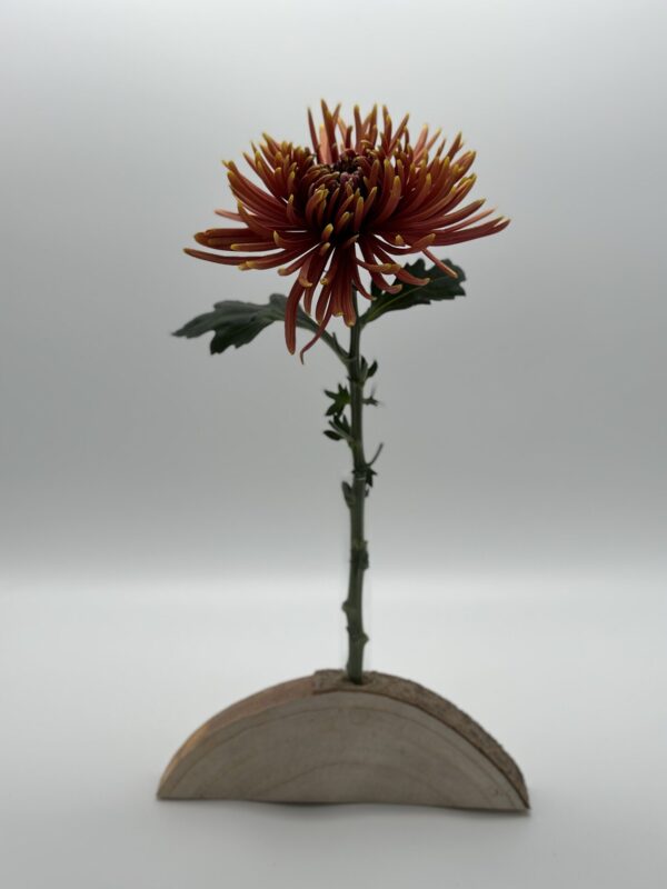 Blumen- & Kartenhalterung, 1 x Glas
